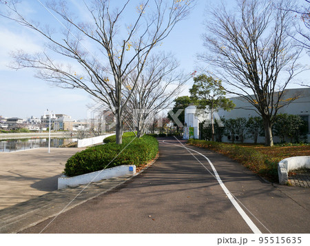 東京　新左近川親水公園　紅葉（2020年11月） 95515635