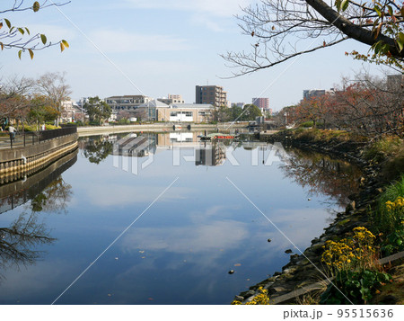 東京　新左近川親水公園　紅葉（2020年11月） 95515636