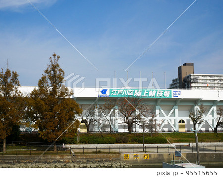 東京　新左近川親水公園　紅葉（2020年11月） 95515655