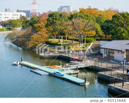 東京 新左近川親水公園 紅葉(2020年11月) 東京 新左近川親水公園 紅葉(2020年11月) 95515688