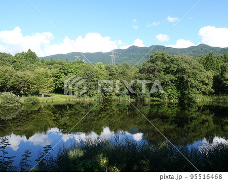 野草園　山形市 95516468