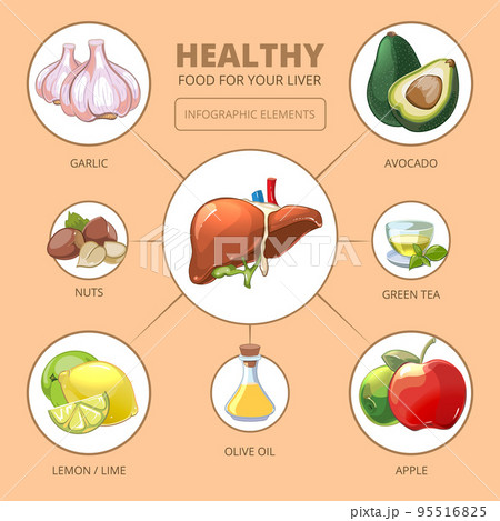 Healthy foods for liver. Medical health infographic 95516825