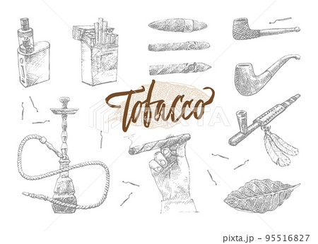 Hand Drawn Tobacco Elements Set 95516827