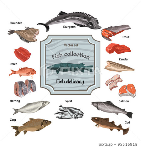 Hand Drawn Colored Seafood Collection 95516918