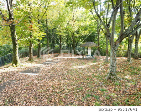 滋賀県大津市琵琶湖ローズタウン（近所の散歩道） 95517641