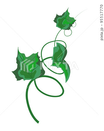 Pumpkin Sprout 95517770