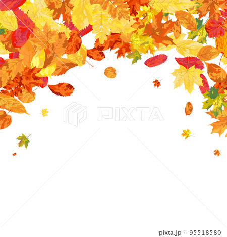 Autumn Leaves Background 95518580