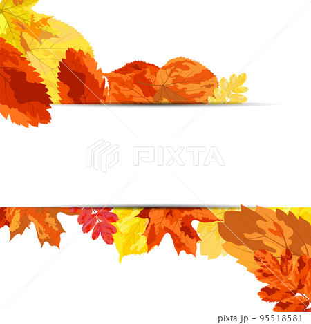 Autumn Leaves Background 95518581