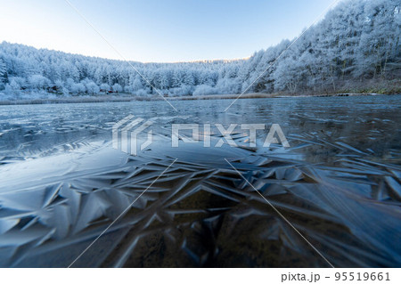【霧氷素材】聖高原の霧氷【長野県】 【霧氷素材】聖高原の霧氷【長野県】 95519661