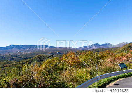 嬬恋パノラマライン北ルートから見る四阿山 嬬恋パノラマライン北ルートから見る四阿山 95519828