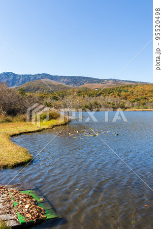高原の湖　群馬県嬬恋村バラキ湖 95520498