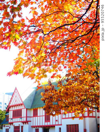 北海道の絶景 秋の北海道知事公館紅葉 北海道の絶景 秋の北海道知事公館紅葉 95520746