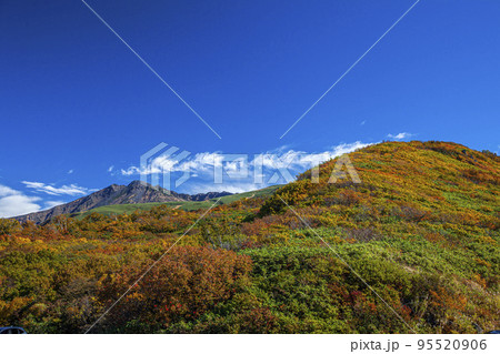 紅葉の鳥海山 紅葉の鳥海山 95520906