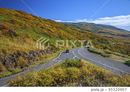 紅葉の鳥海ブルーライン 紅葉の鳥海ブルーライン 95520907