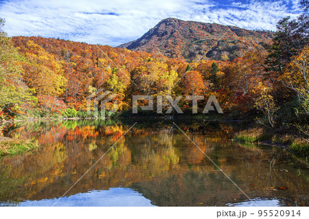 紅葉の蔵王片貝沼 95520914