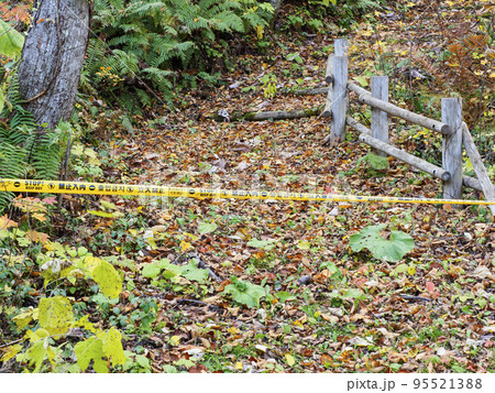 立ち入り禁止になった遊歩道（秋）真ん中 95521388