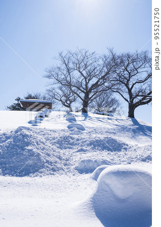 雪に覆われた公園 雪に覆われた公園 95521750