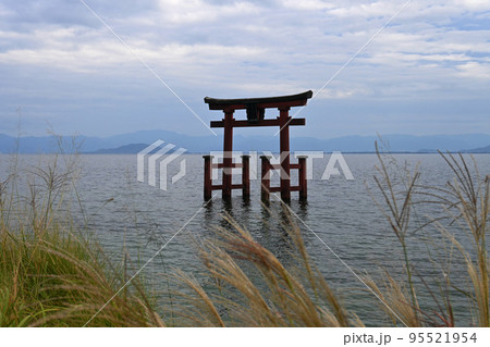 初秋の午後の琵琶湖に建つ白鬚神社 大鳥居 95521954