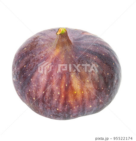 Fresh fig. Fruit isolated on white background. File contains clipping path. Fresh fig. Fruit isolated on white background. File contains clipping path. 95522174