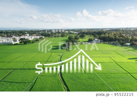 Land in aerial view with concept of value to decrease.Land in aerial view with concept of value to decrease. 95522215