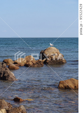 黒津崎の海辺 黒津崎の海辺 95522429