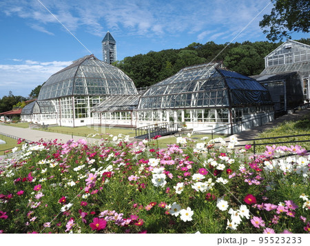 秋の東山植物園 秋の東山植物園 95523233