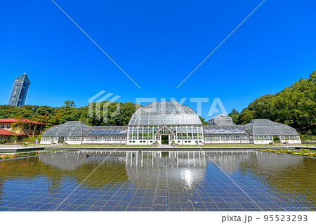 秋の東山植物園 95523293
