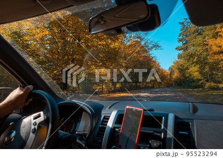 driving car autumn forest on road side navigation on the phone driving car autumn forest on road side navigation on the phone 95523294