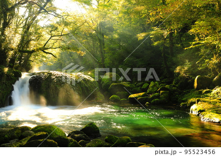 【熊本県】菊池渓谷の黎明の滝の光芒 【熊本県】菊池渓谷の黎明の滝の光芒 95523456