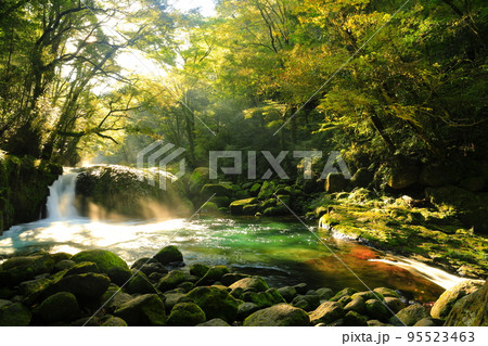 【熊本県】菊池渓谷の黎明の滝の光芒 【熊本県】菊池渓谷の黎明の滝の光芒 95523463