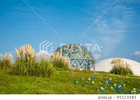 《愛知県》愛・地球博記念公園（モリコロパーク）パンパスグラスと地球市民交流センター 95523985