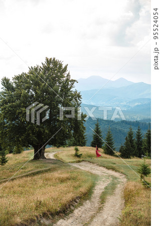 woman near old big beech tree in the mountains woman near old big beech tree in the mountains 95524054