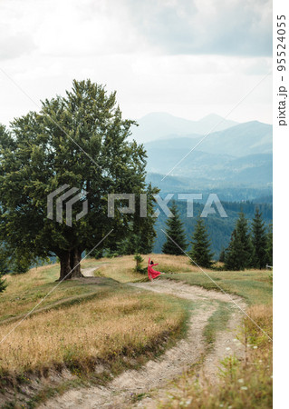 woman on the path near old big beech tree in the mountains woman on the path near old big beech tree in the mountains 95524055