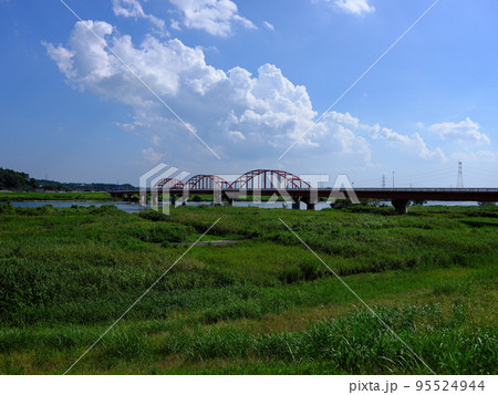 利根川の夏 利根川の夏 95524944