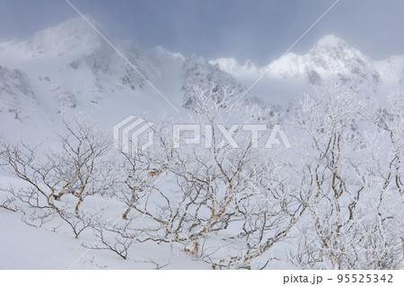 中央アルプス　千畳敷カール　長野県　雲間から現れた宝剣岳 95525342
