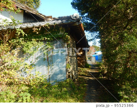 廃屋のある田舎の風景　 95525366