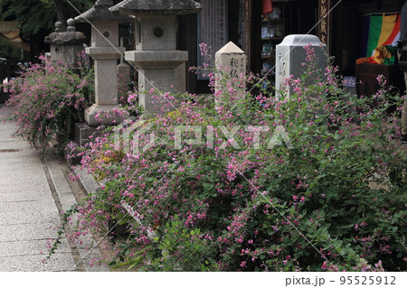萩・東光院 95525912