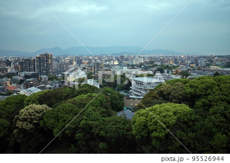 高層階から望む豊かな緑と都心 95526944