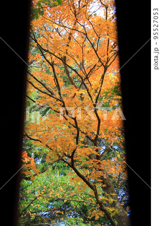 紅葉　北海道＿旧島松駅逓所 95527053