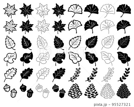 色々な葉っぱのシルエットと線画のイラストセット 色々な葉っぱのシルエットと線画のイラストセット 95527321