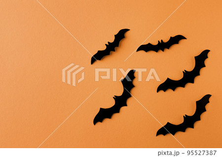 Halloween concept. A black bats on an orange background 95527387