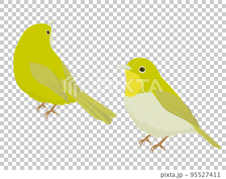 白眼 白眼 95527411