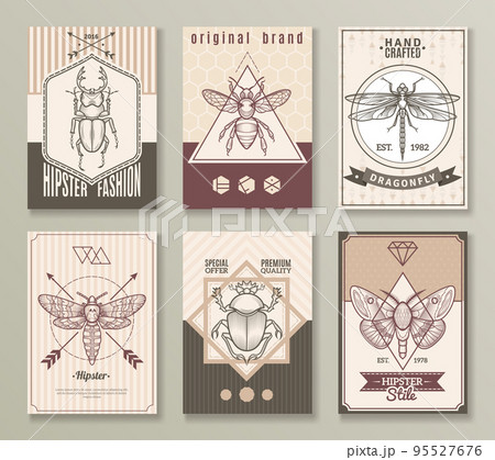 Insects Hipster Cards Set 95527676