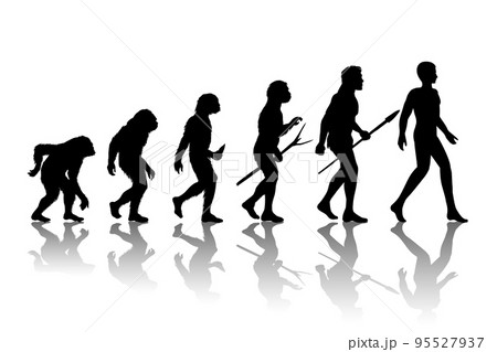 Man evolution 95527937