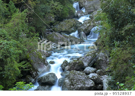 高知県吾川郡いの町清水上分 仁淀ブルーで有名なニコ淵が流れる枝川川の流れ 高知県吾川郡いの町清水上分 仁淀ブルーで有名なニコ淵が流れる枝川川の流れ 95528937