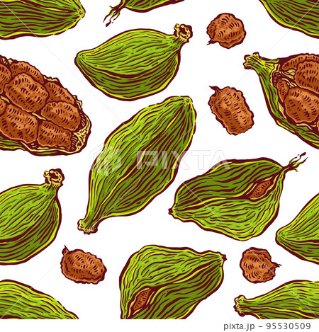 seamless colorful cardamom 95530509