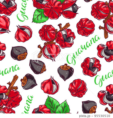 seamless colorful guarana 95530510