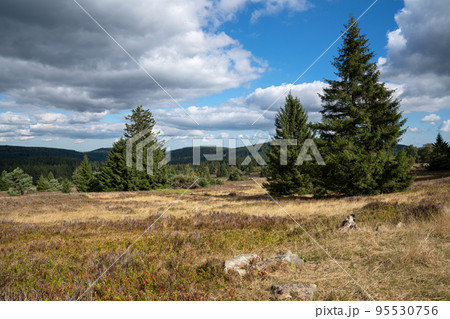Landscape of Rothaar Mountains, Sauerland, Germany Landscape of Rothaar Mountains, Sauerland, Germany 95530756