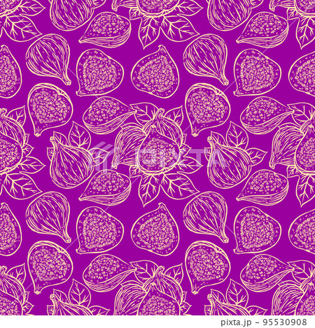 seamless sketch figs 95530908