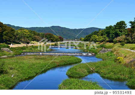 秋晴れの京都市賀茂川の北大路橋からの眺め 95531493
